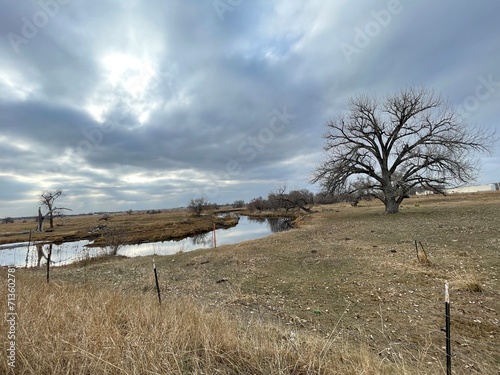 Tree/cloud/pond landscape  photo