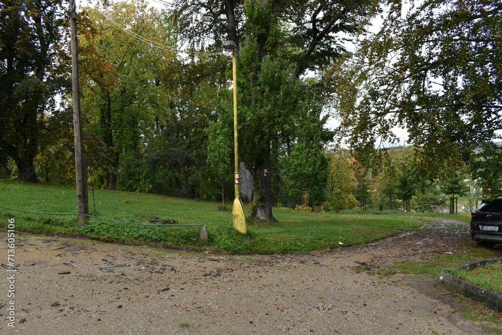 Naklejka premium Park