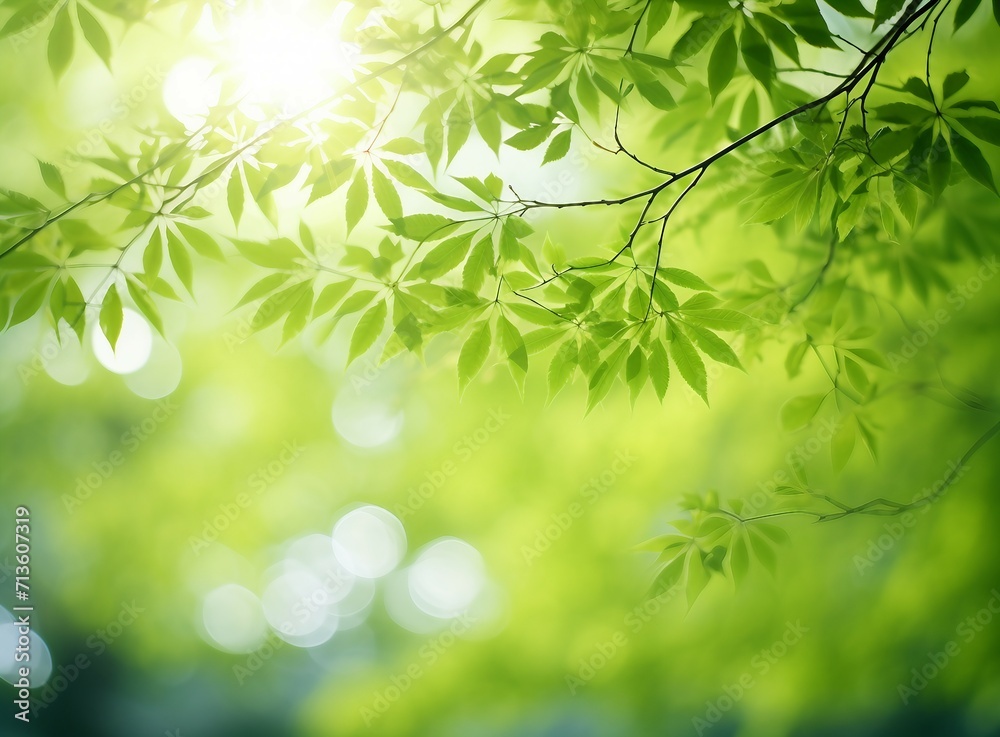 green leaves background, wallpaper, background green leaves background, wallpaper, background