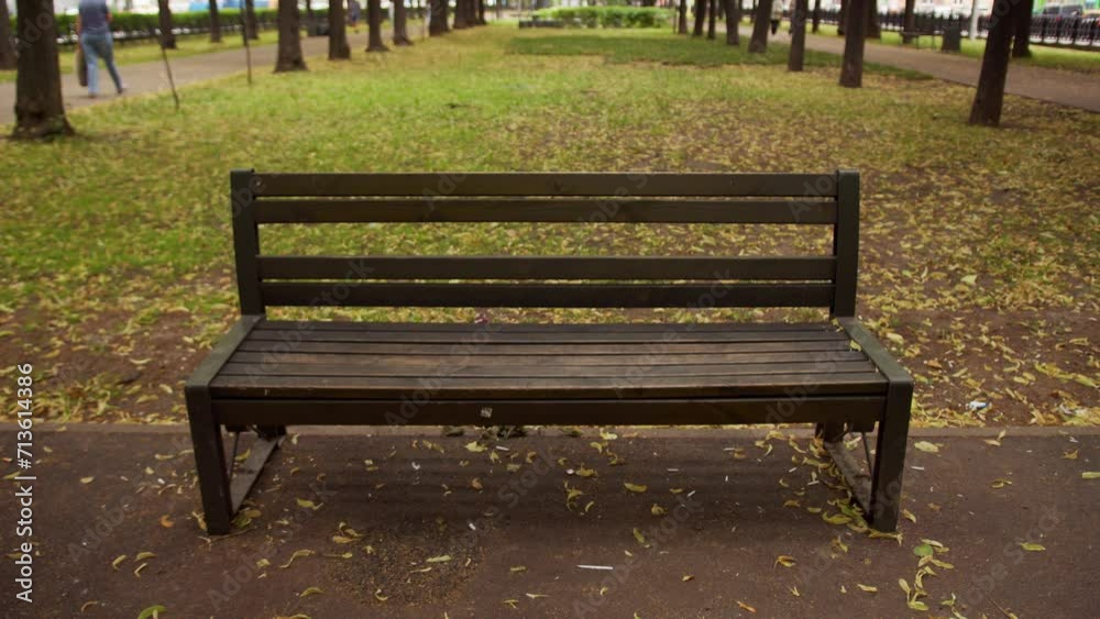 autumn sets in, leaves on the trees in the city park turn into vibrant shade of yellow, creating stunning backdrop for the empty wooden bench in peaceful alley. autumn sets in, leaves on the trees in the city park turn into vibrant shade of yellow, creating stunning backdrop for the empty wooden bench in peaceful alley.