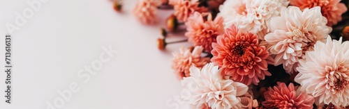 Pink and White Flowers on a White Background