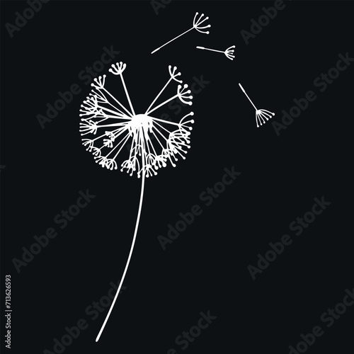 Abstract black and white dandelion, flying dandelion seeds. Vector graphics. The design of the postcard.
