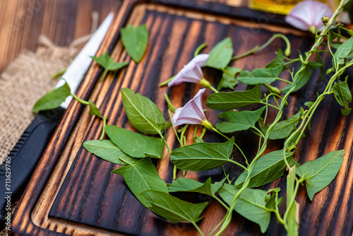 Fresh flowers Convolvulus arvensis, or field bindweed on a cutting board in summer during the harvesting period of medicinal herbs photo