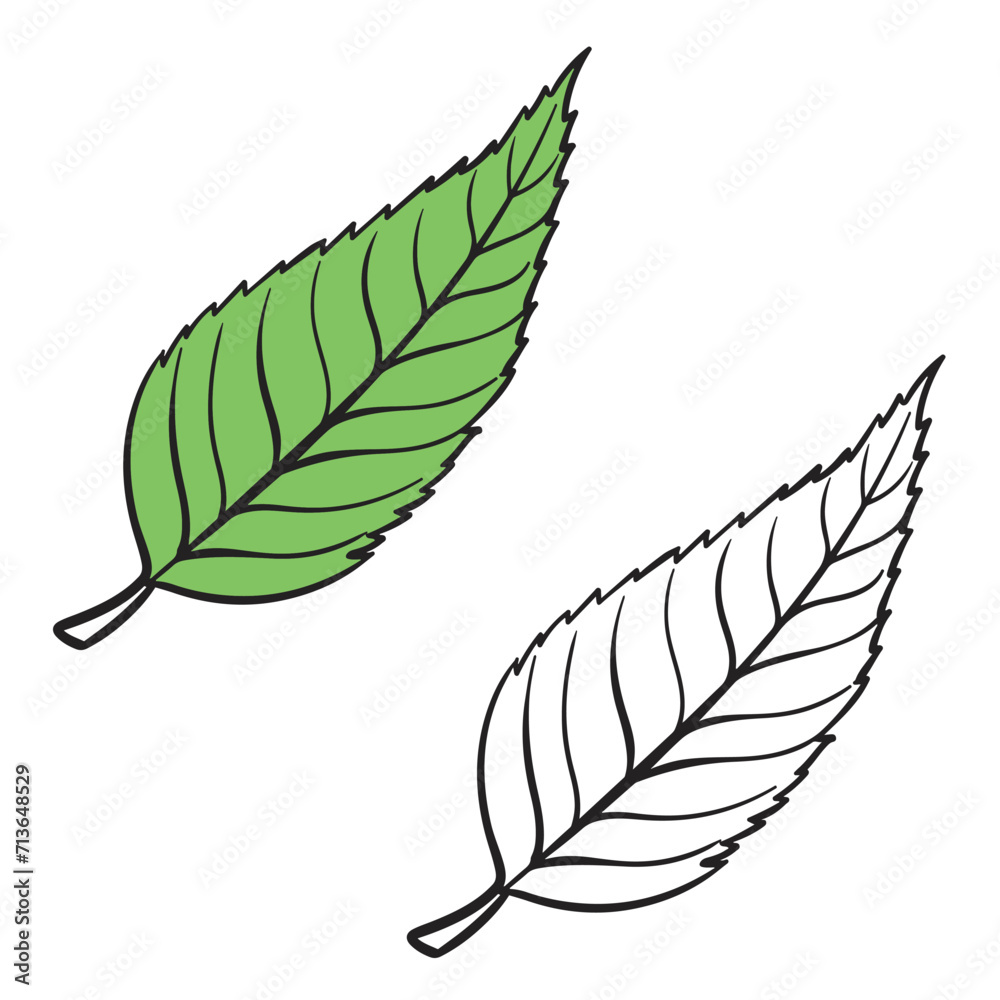 leaf vector illustrations. leaves drawing with line art on white backgrounds. Simple Design Outline Style. You can give color you like leaf vector illustrations. leaves drawing with line art on white backgrounds. Simple Design Outline Style. You can give color you like