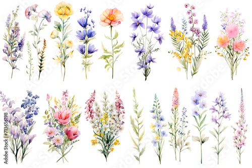 a network of bouquets of colorful spring and summer wildflowers painted in watercolor on a white background