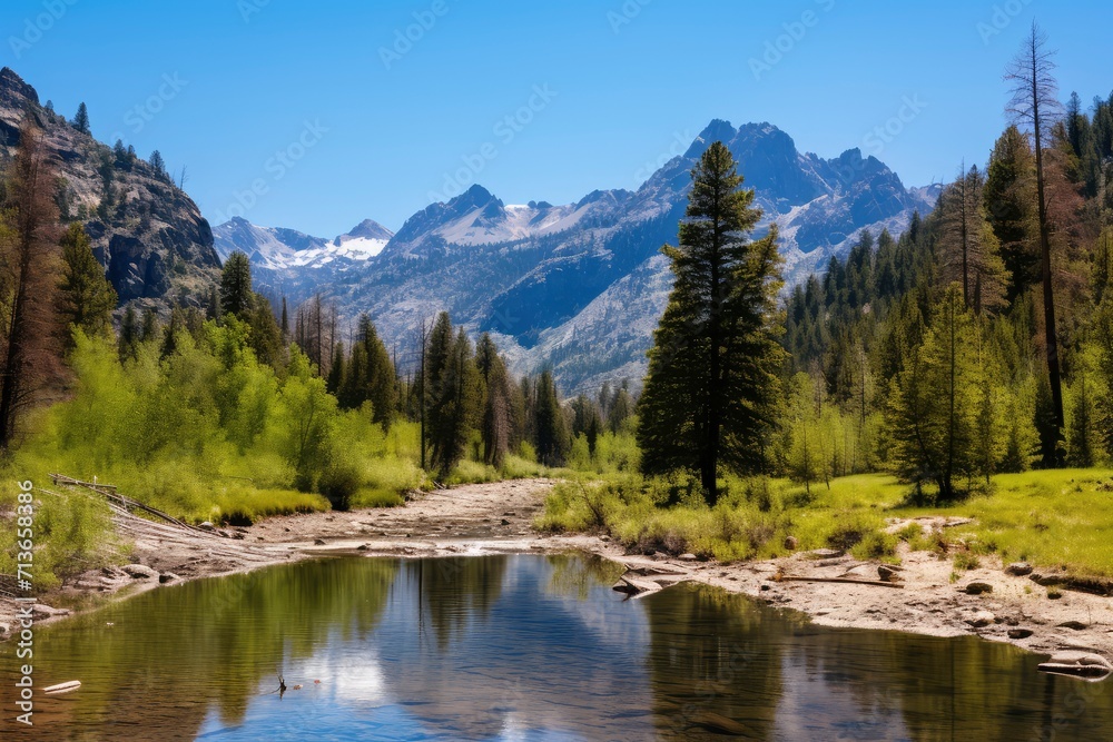 River Flowing Through Lush Green Forest, Serene Nature Landscape