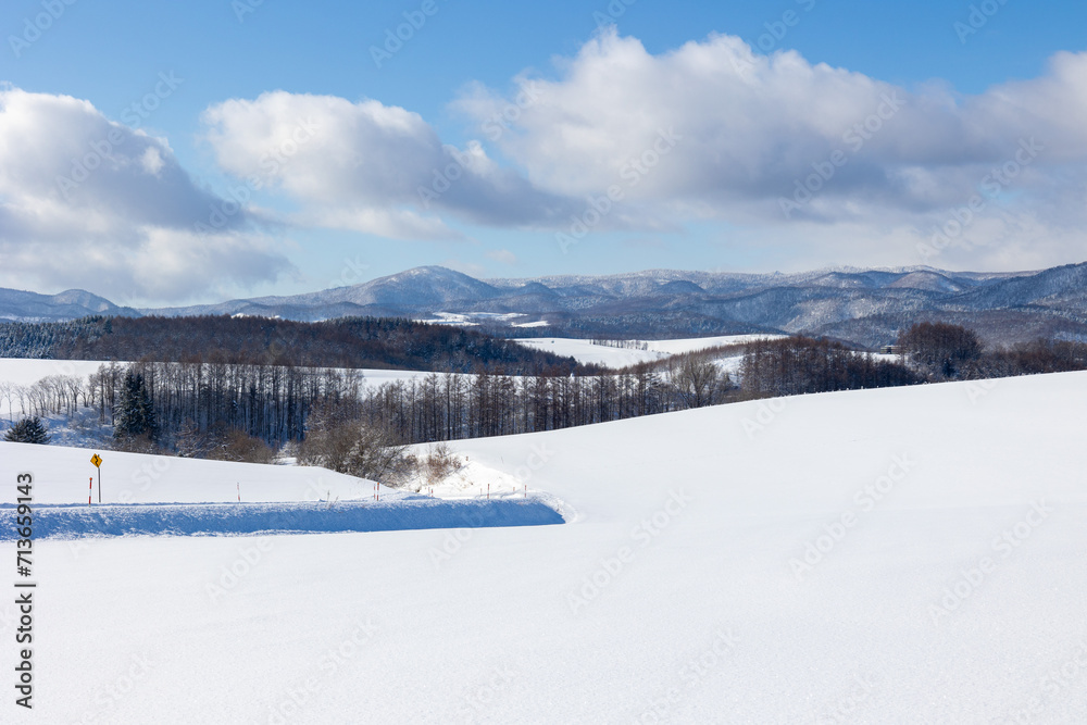 雪原を望む 雪原を望む