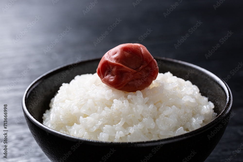 梅干しをのせたご飯 梅干しをのせたご飯