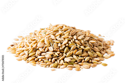 wheat grain isolated on transparent