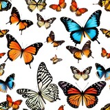 seamless pattern with butterflies colored butterflies Different Butterflies