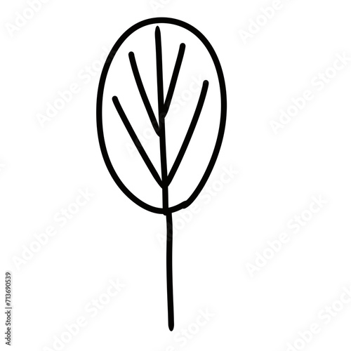 line art
