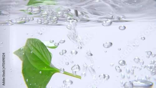 Fish mint leaves are dropped into the water, water bubbles appear. Fish mint contains many vitamins and minerals that have the ability to increase resistance and help fight bacteria.