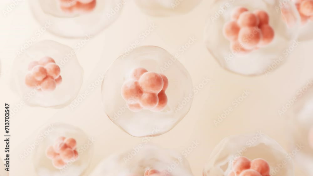 Transparent cell with biotechnology and cosmetic concept, 3d rendering. Transparent cell with biotechnology and cosmetic concept, 3d rendering.