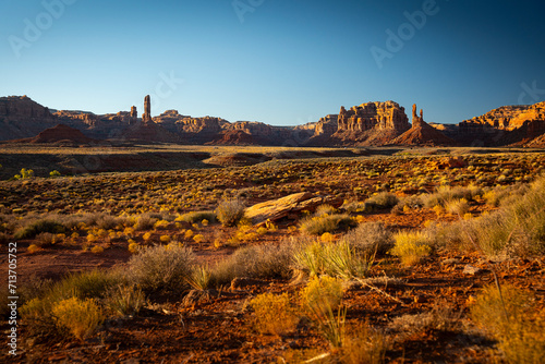 The Shadows Piercing