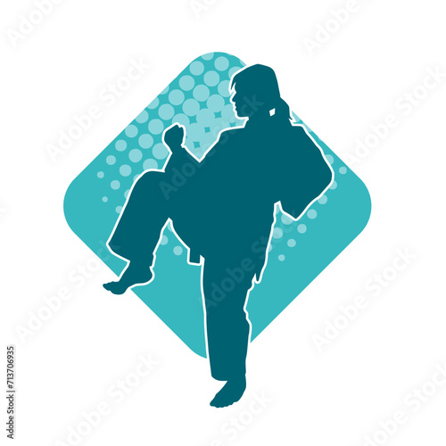 Silhouette of a slim female doing martial art pose. Silhouette of a martial art woman in action pose.