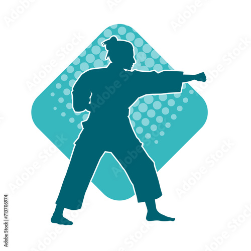 Silhouette of a slim female doing martial art pose. Silhouette of a martial art woman in action pose.