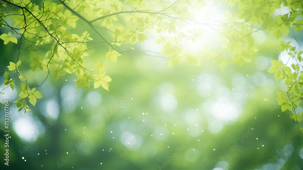 Spring background with beautiful fresh green leaves and bokeh lights with copy space,Springtime.Nature
