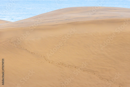             sand dunes  vast dune hills   
