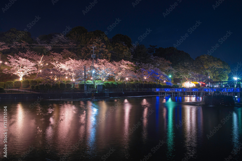 甘木公園の丸山池と夜桜