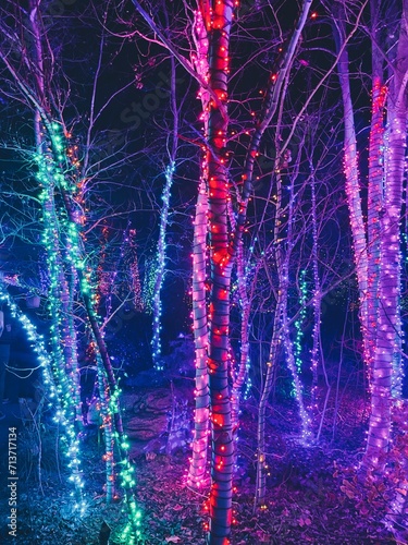 Christmas Tree Lights  photo