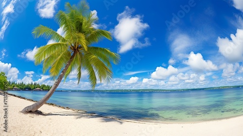 beach with palm trees © urwa
