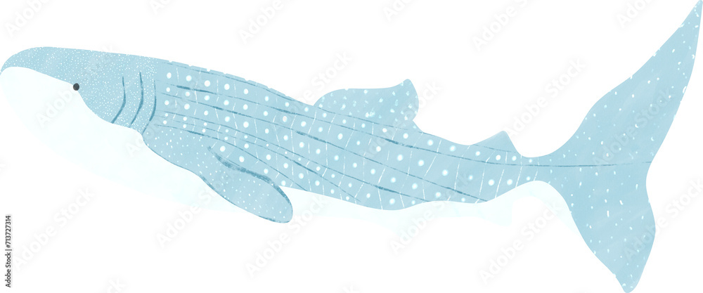 Obraz premium whale shark watercolor 