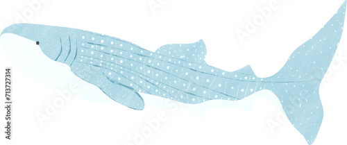 whale shark watercolor 