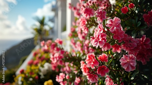 flowers in the park