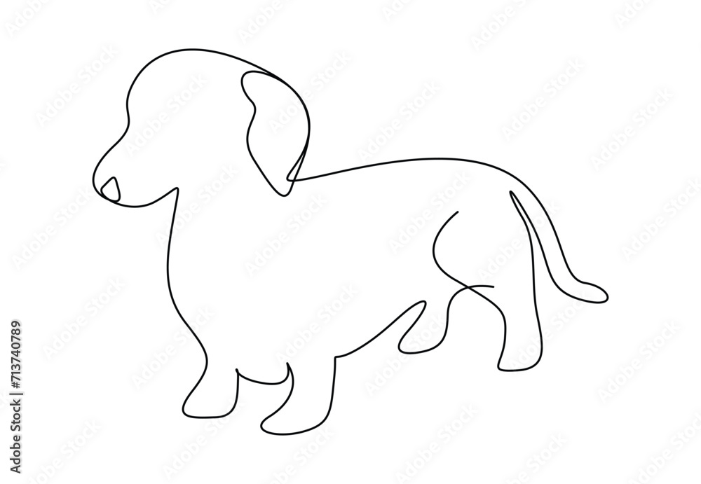 Cute dachshund dog continuous single line drawing. Vector illustration. Pro vector