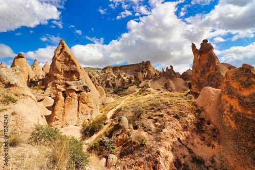 Imaginary Valley or Devrent Valley is full of unique rock and stone formations in the fantastic shape of different imaginary animals near Goreme,Cappadocia Region, Central Anatolia,Turkey. photo