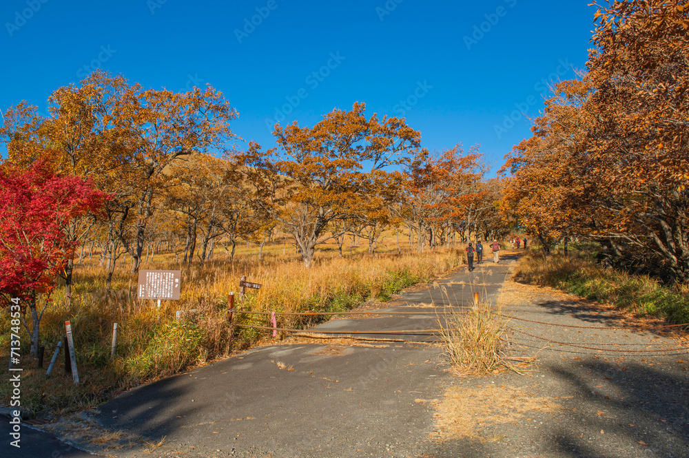Fototapeta premium 涌蓋山登山「八丁原登山口」