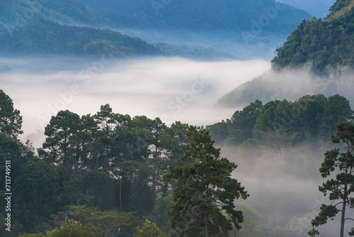 Landscape Sunrise at of Strawberry Plantation with sunrise morning mist at Doi Ang Khang , Chiang Mai, Thailand.