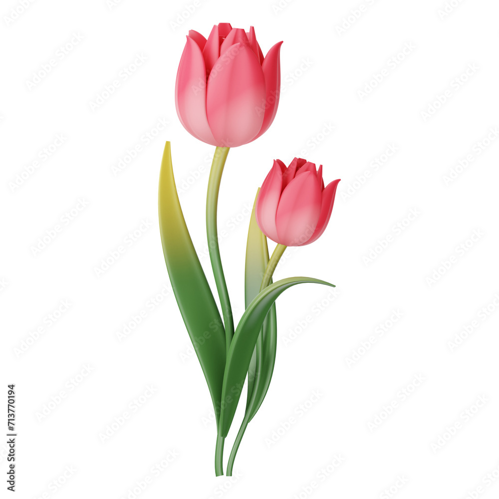Realistic tulip. Pink red buds tulips, spring flowers bouquet, colorful floral elements for greeting card, brochure, banner vector 3d set. Colorful tulips 3d rendering with clipping path. Realistic tulip. Pink red buds tulips, spring flowers bouquet, colorful floral elements for greeting card, brochure, banner vector 3d set. Colorful tulips 3d rendering with clipping path.