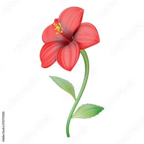 bright large red hibiscus flower and leaf isolated on transparent background.. Close up beautiful red hibiscus flower in bloom.