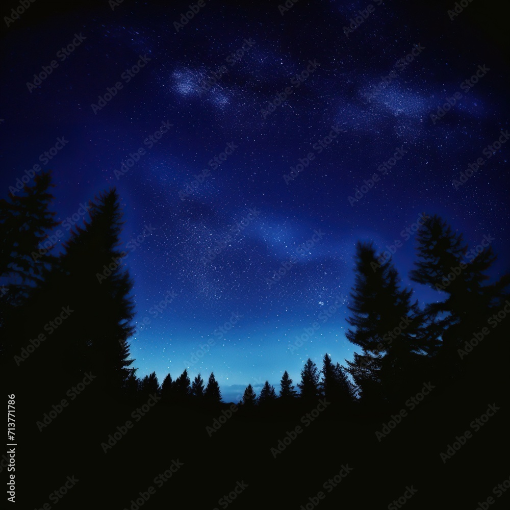 forest blue forest blue