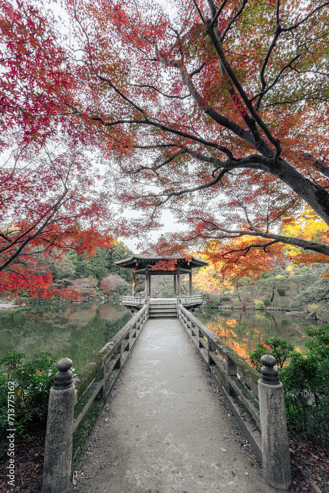 成田山公園の浮御堂と紅葉