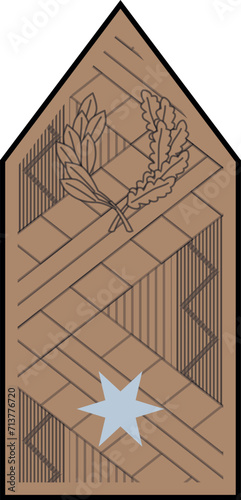 Shoulder pad military officer mark for the DANDÁRTÁBORNOK (BRIGADIER GENERAL) insignia rank in the  Hungarian Ground Forces