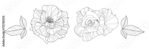 Vector set of hand drawn, engraving line flowers,