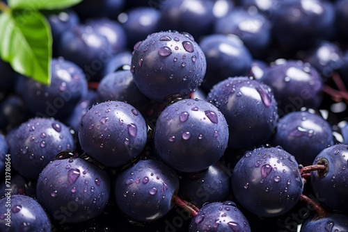 Wallpaper Mural Fresh Acai Berries Closeup Torontodigital.ca