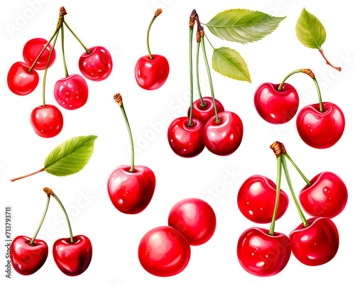 Watercolor painting of a cherry red fruits with green leaves and pink blooming flowers set isolated on white background. Cut out PNG illustration on transparent background. 
