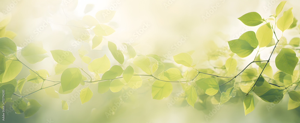 spring green leaves spring green leaves