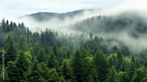 fog in the mountains © Ahmad
