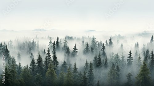 fog in the mountains
