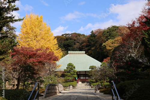 秋の鎌倉。紅葉の浄妙寺。本堂と銀杏。