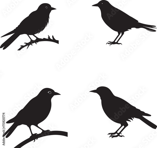 Set of Starling black silhouette on white background  © Qurban Vector & Ai
