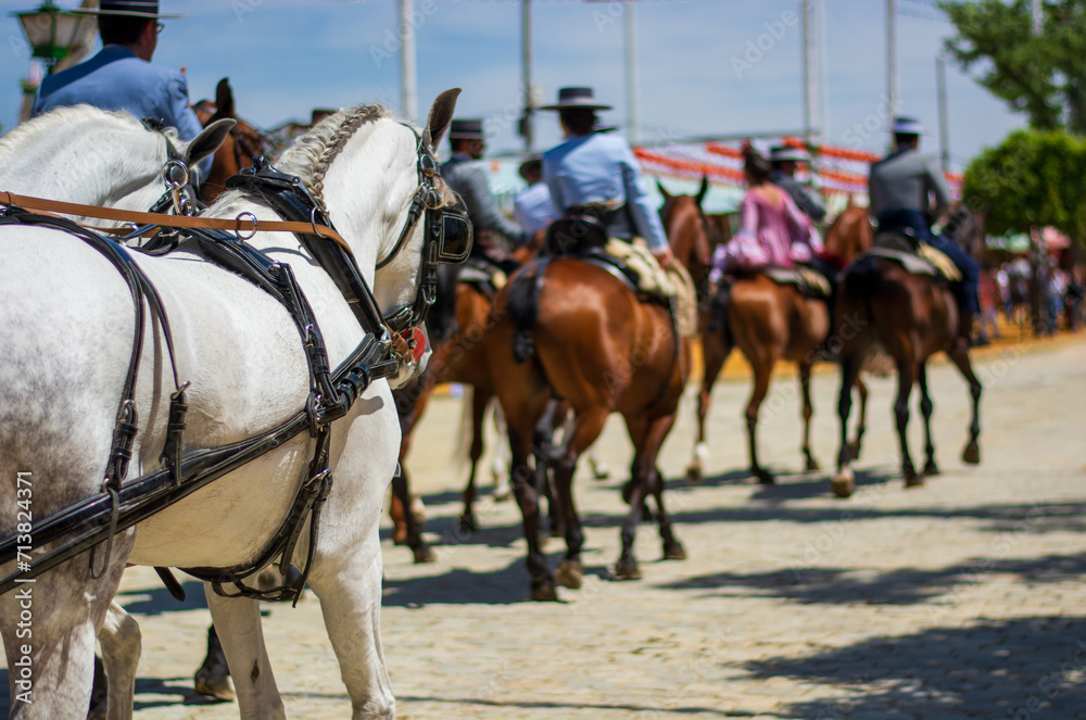 the beautiful Andalusian horses at the Spanish popular festivals the beautiful Andalusian horses at the Spanish popular festivals