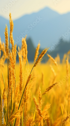 Autumn rice fields  golden ears of rice  depth of field control method  photo grade  32K  hyper quality  Generate AI.