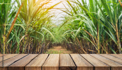 The empty wooden brown table top with blur background of sugarcane plantation