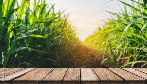 The empty wooden brown table top with blur background of sugarcane plantation