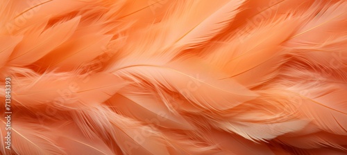 Trendy peach feather texture backgroundclose up of fluffy feathers, color of the year 2024.